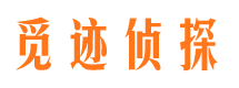 平远外遇出轨调查取证